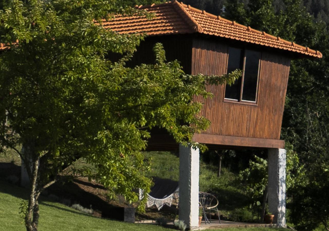 Cimo Da Vinha - Nature Spot Castelo de Paiva Bagian luar foto